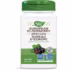 Nature's Way European Elderberry Antioxidant Tea- 100 Vegetarian Capsules
