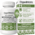 1300mg Organic Moringa Capsules 120 Count